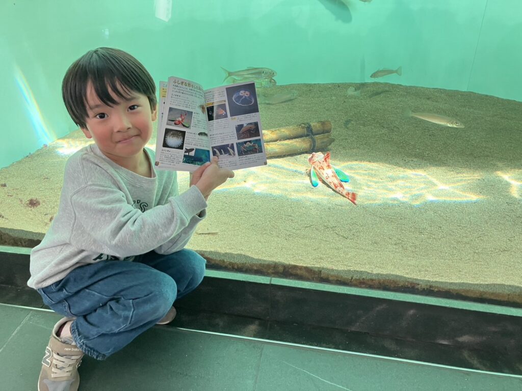 葛西臨海水族園⭐︎